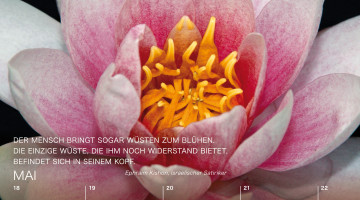 EDEN_Kal2016_Bestellung_CEWE6
